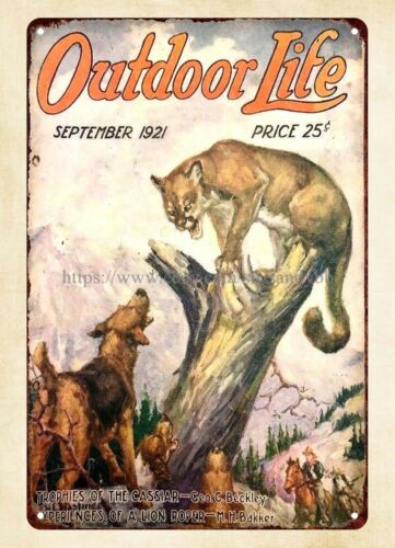 Hunting Dog Outdoor - buy wall 1921 OUTDOOR LIFE magazine