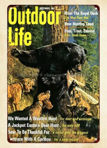 Hunting Dog Outdoor - office wall decor 1967 Outdoor Life
