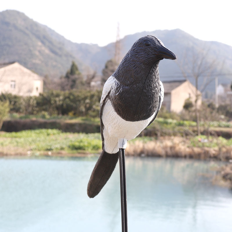 GUGULUZA Hunting Decoy Magpie  - Hunting Outdoor Decor ulasan dan harga