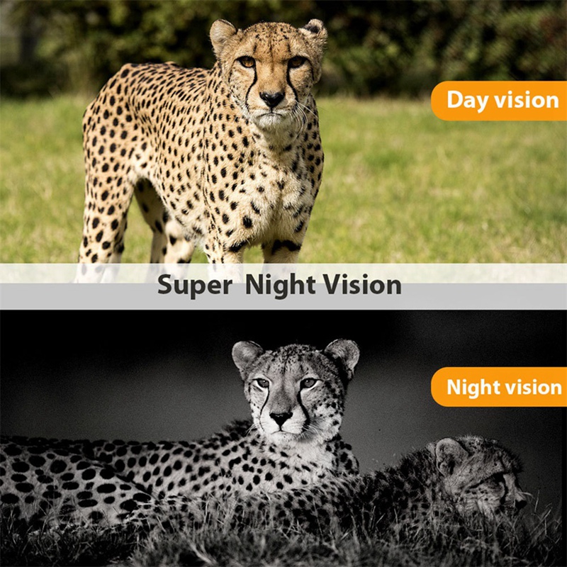 -801A 4K UHD 36MP 4G LTE Night - Outdoor Hunting Camera Wireless ulasan dan harga