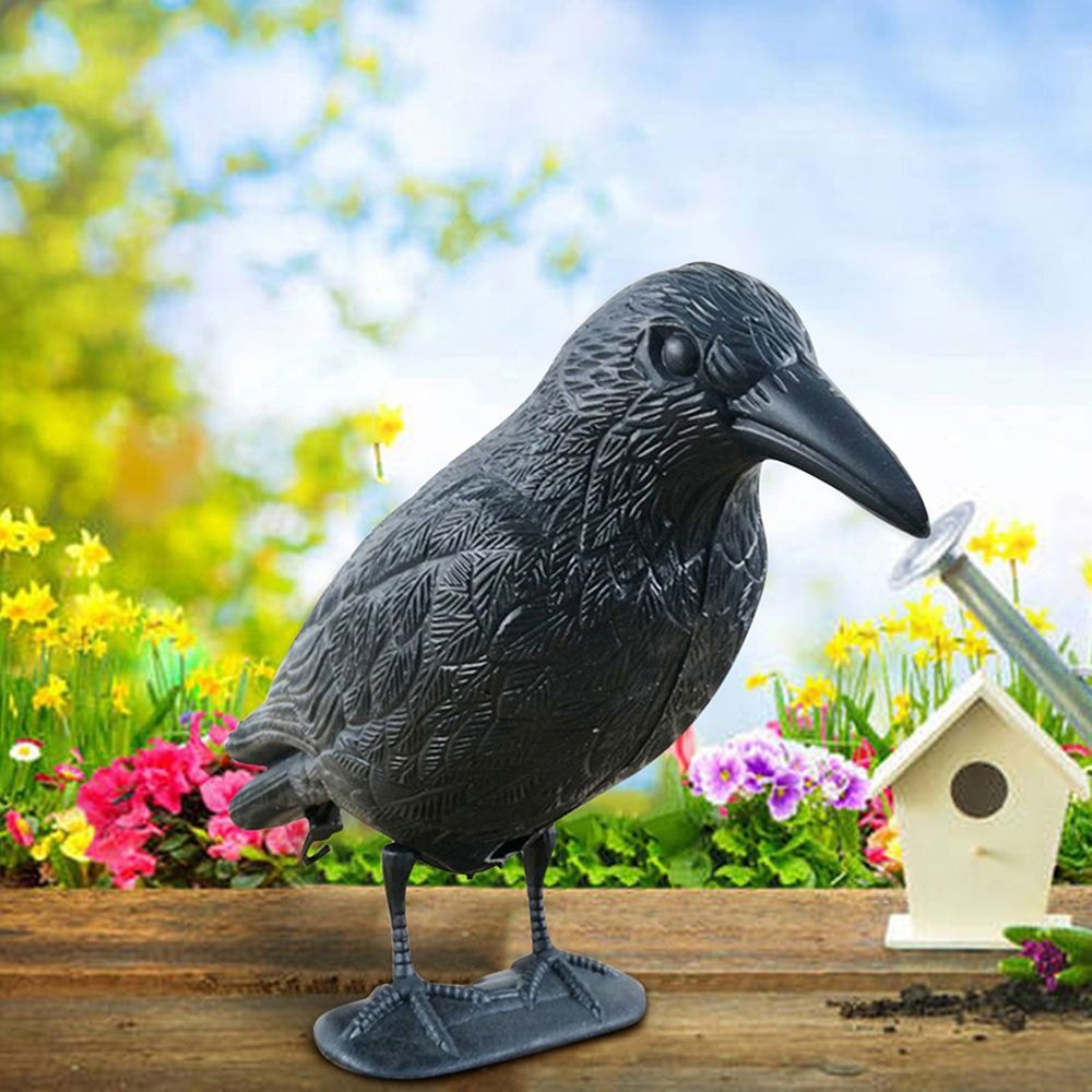 Outdoor Black Life Size Crow R - Hunting Outdoor Decor ulasan dan harga