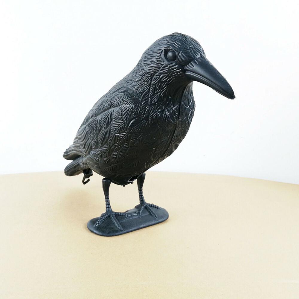 Outdoor Black Life Size Crow R - Hunting Outdoor Decor ulasan dan harga