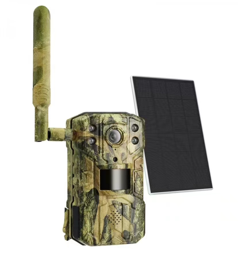 2K Support Solar Powered Lithi - Outdoor Hunting Camera Wireless ulasan dan harga