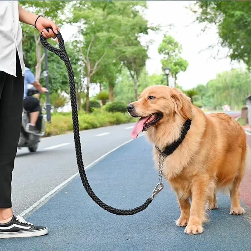 Heavy Duty Large Dog Leash Dur - Hunting Dog Outdoor ulasan dan harga