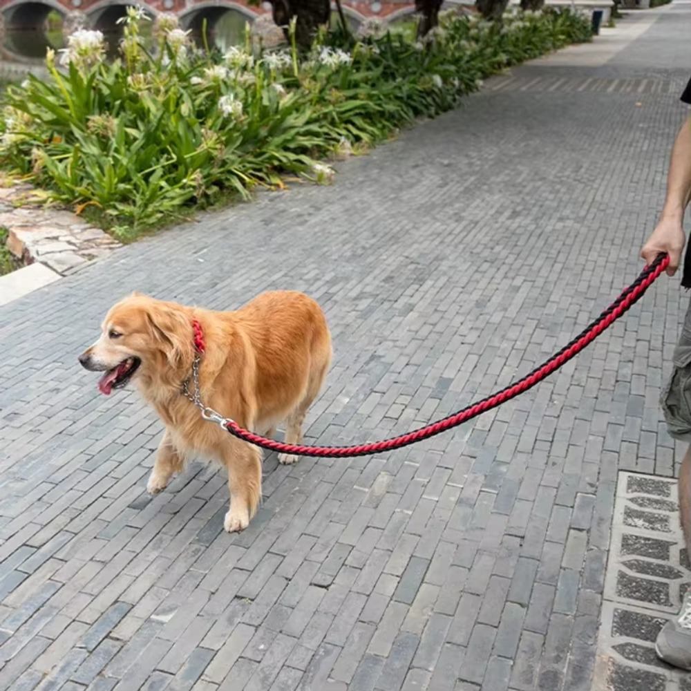 Heavy Duty Large Dog Leash Dur - Hunting Dog Outdoor ulasan dan harga