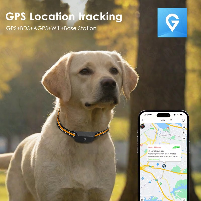 Dog GPS Tracker Outdoor Campin - Hunting Dog Outdoor ulasan dan harga